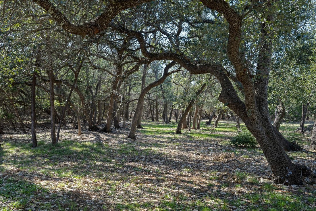 House in Georgetown, Texas, United States 4 - 17261271