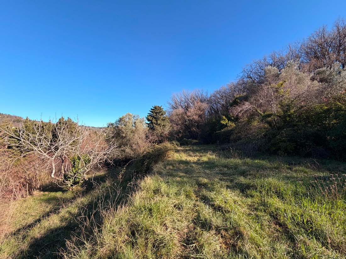 Land in Opio, Provence-Alpes-Côte d'Azur, France 1 - 17260841