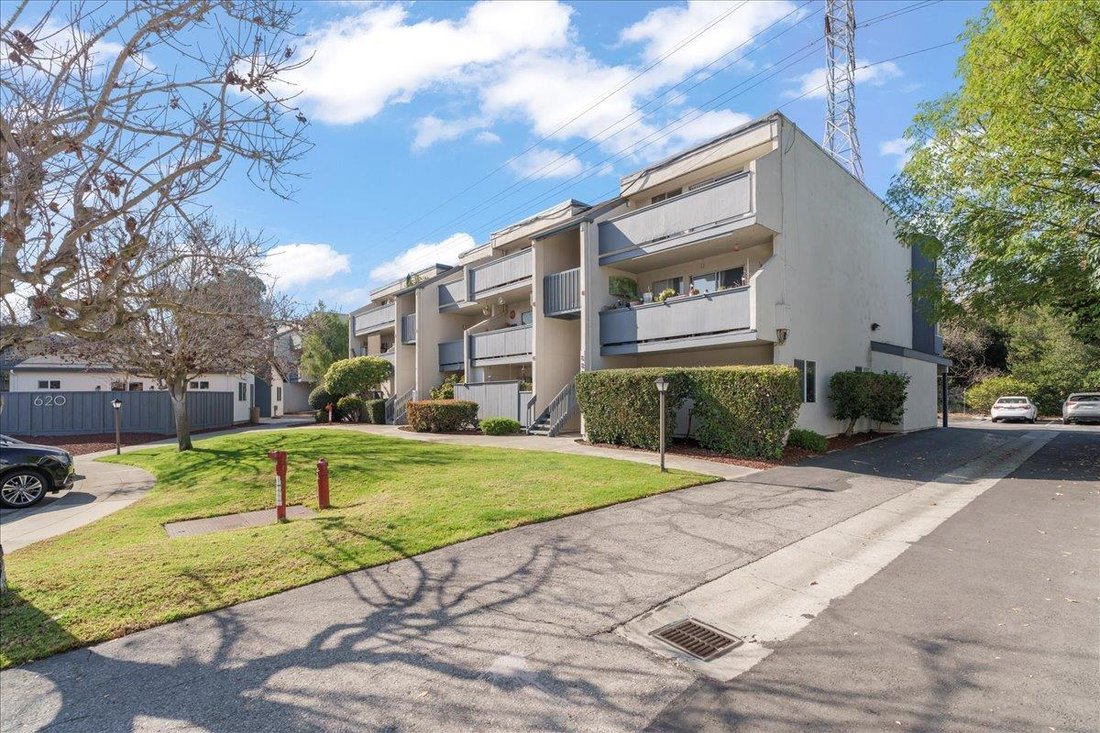 Mountain View, California, United States 1 - 17263571