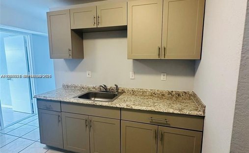 House in Wilton Manors, Florida, United States 1