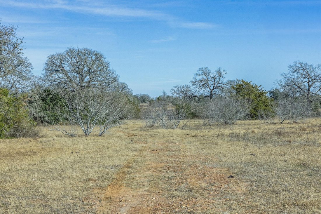 House in Giddings, Texas, United States 3 - 17259464