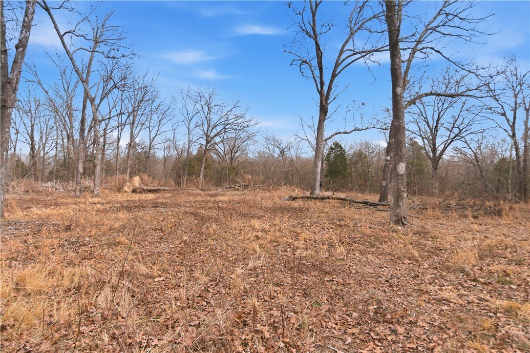 Land in Cave Springs, Arkansas, United States 4 - 17262672