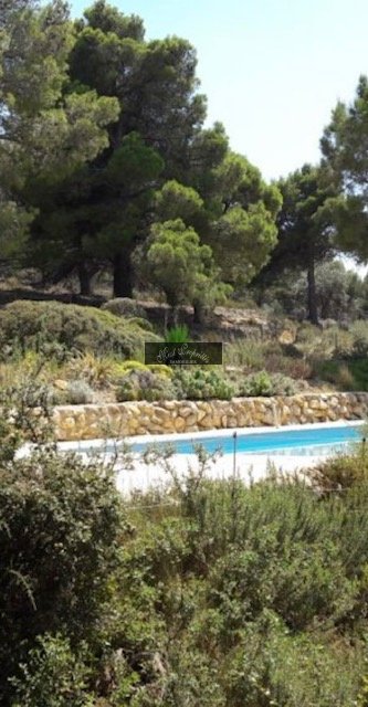 Villa in Ecarts, Narbonne, France 3 - 16333679