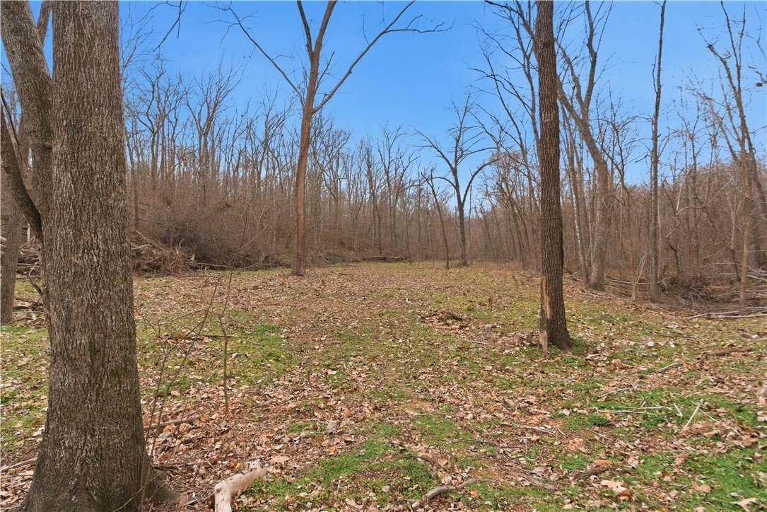 Land in Cave Springs, Arkansas, United States 5 - 17262672