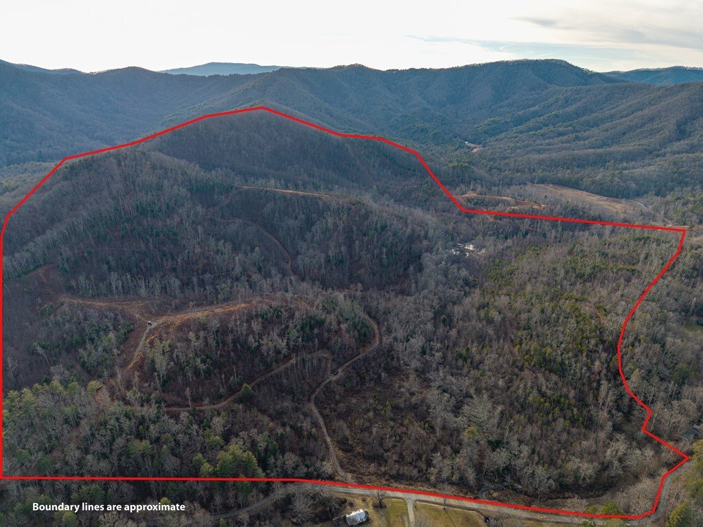 Land in Blue Ridge, Georgia, United States 2 - 17259704