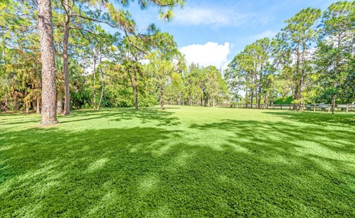 Terreno a Wellington, Florida, Stati Uniti 1