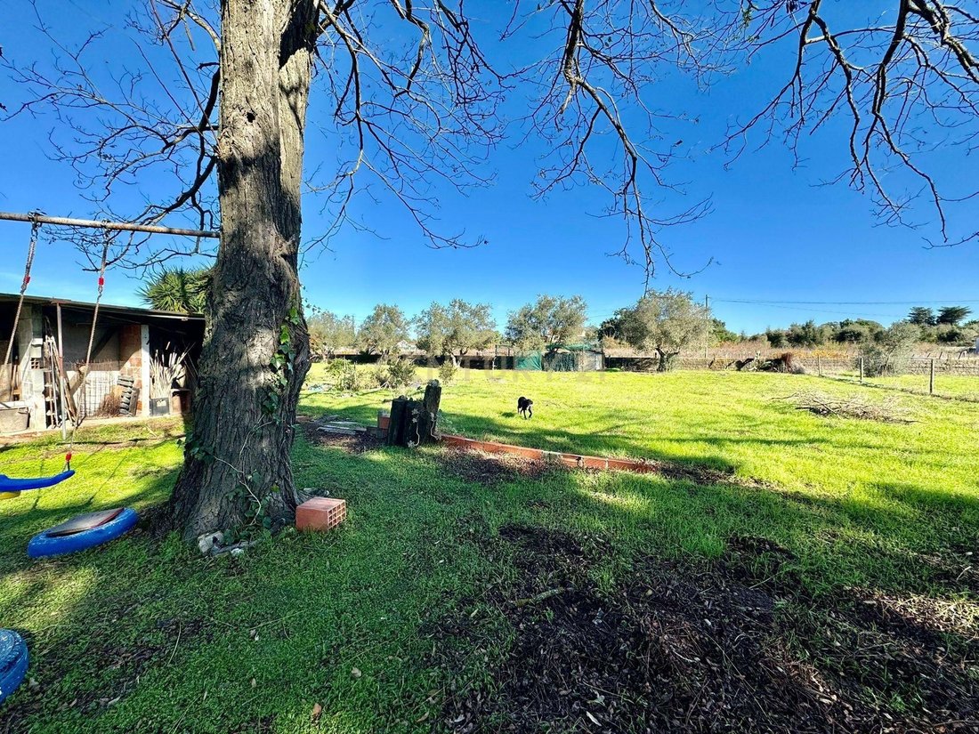 Farm Ranch in Palmela, Setubal, Portugal 5 - 17263331