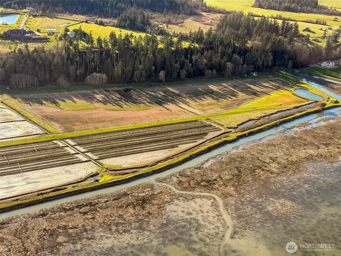 Land in Camano, Washington, United States 4 - 17262580