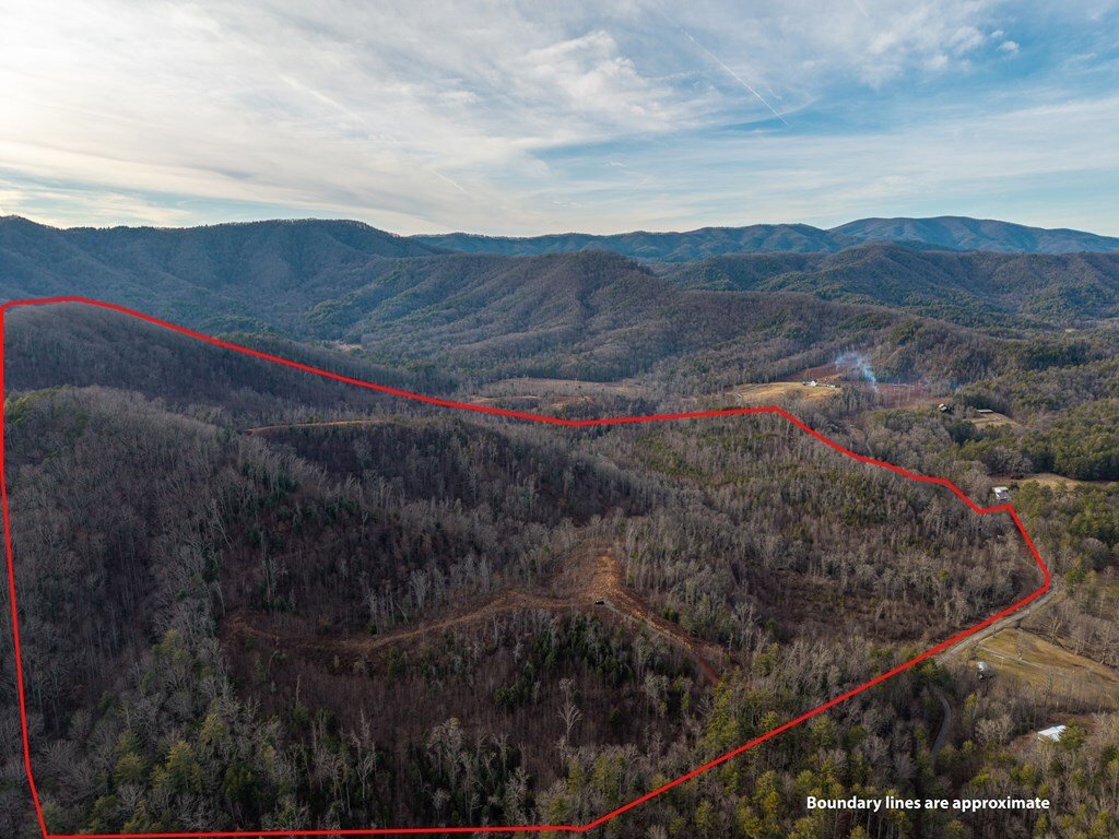 Land in Blue Ridge, Georgia, United States 3 - 17259704