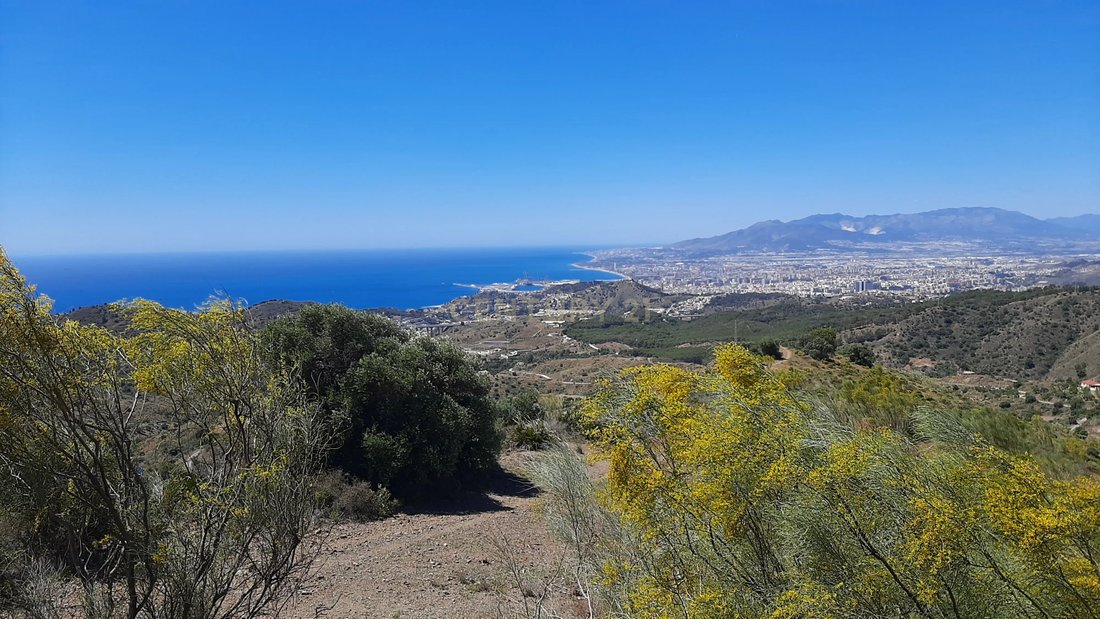 Land in Este, Malaga, Spain 1 - 15949881