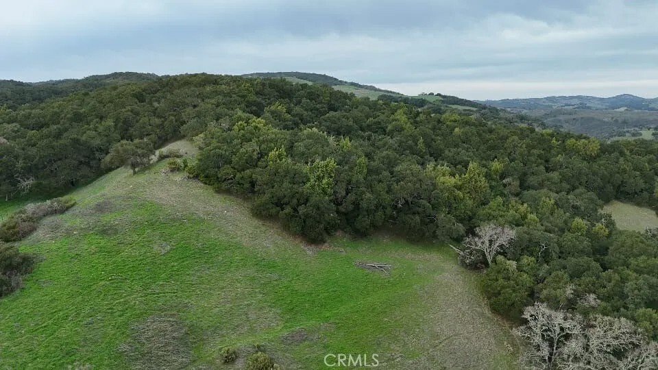 Templeton, California, United States 3 - 16526499