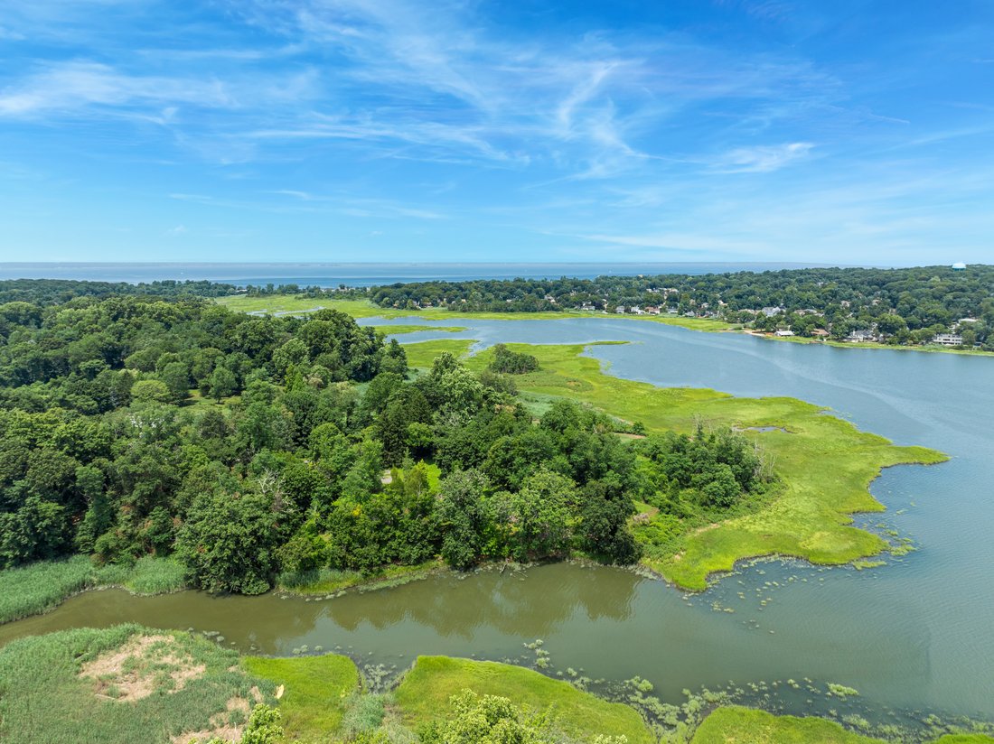 Locust Valley, New York, United States 1 - 16813603