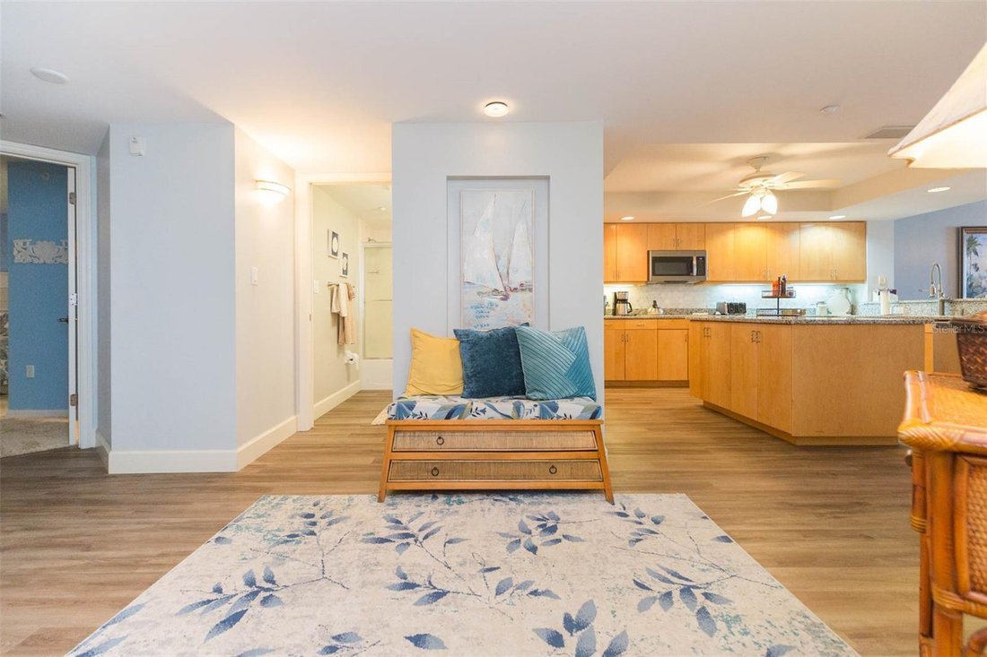 Condo in Madeira Beach, Florida, United States 5 - 17264998