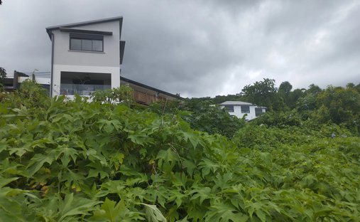 Terreno a La Possession, Arrondissement di Saint-Paul, Riunione 1