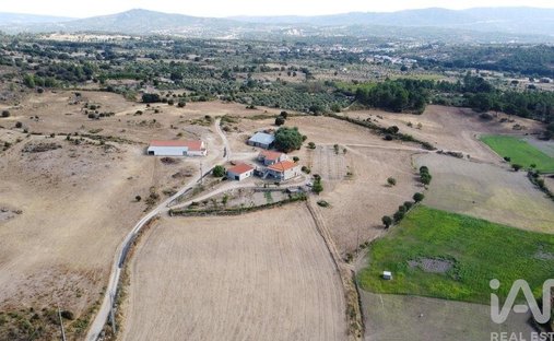 Land in Lajeosa do Mondego, Guarda District, Portugal 1