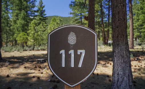 Terreno a Carson City, Nevada, Stati Uniti 1