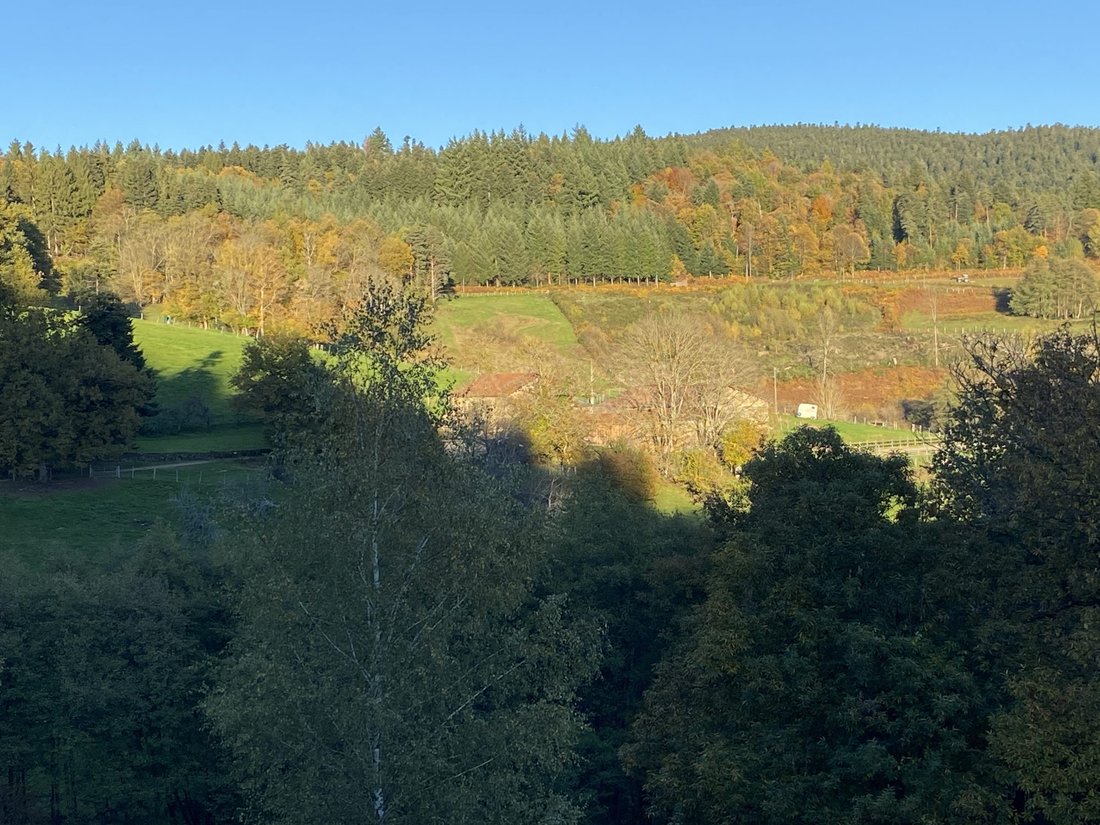 House in Augerolles, Auvergne-Rhône-Alpes, France 3 - 17272045