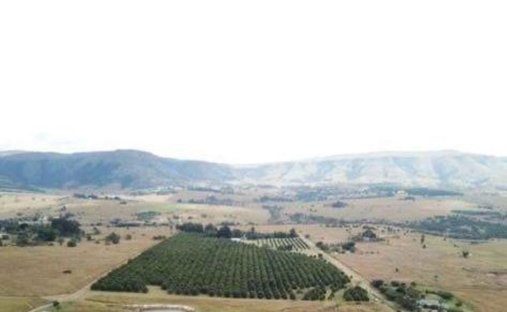 Azienda agricola a eManzana, Mpumalanga, Sudafrica 1