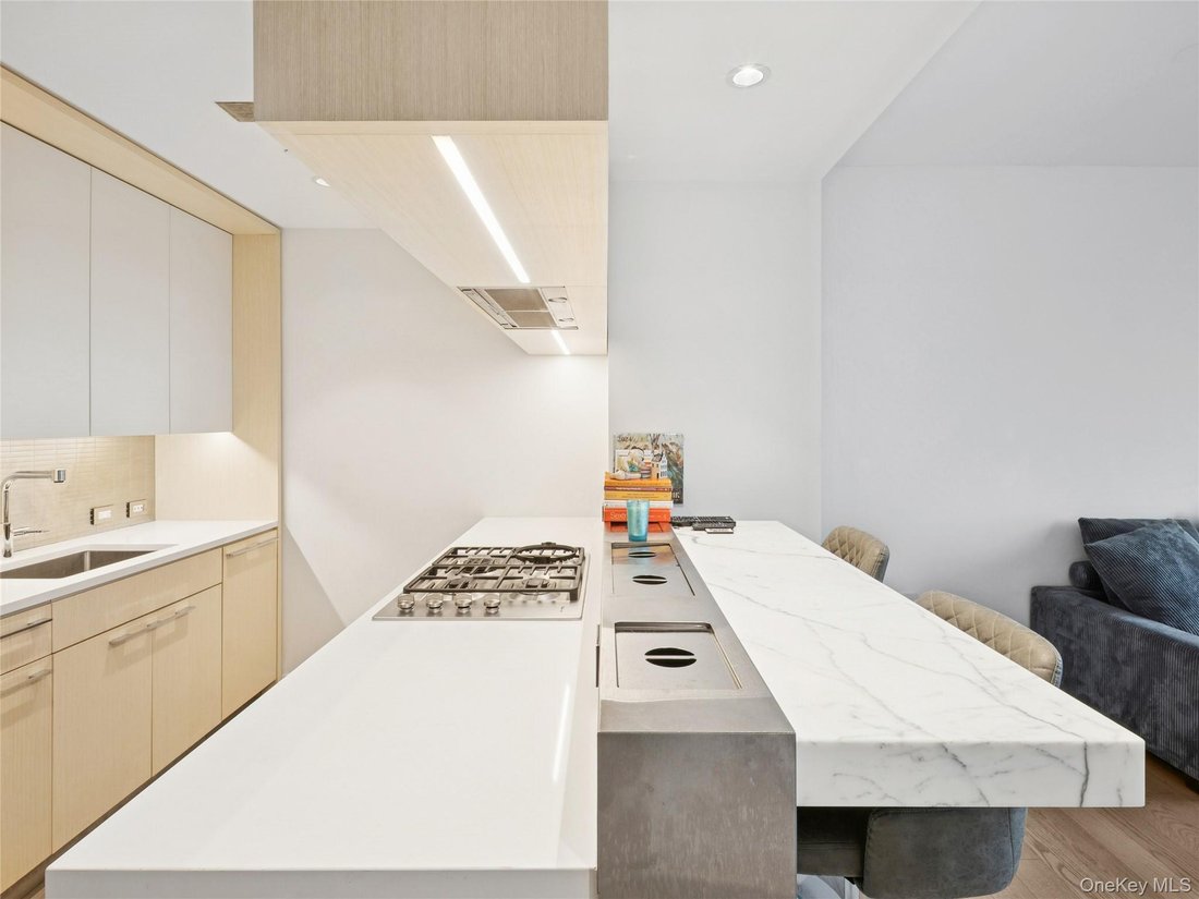 Condo in New York, New York, United States 5 - 17271261