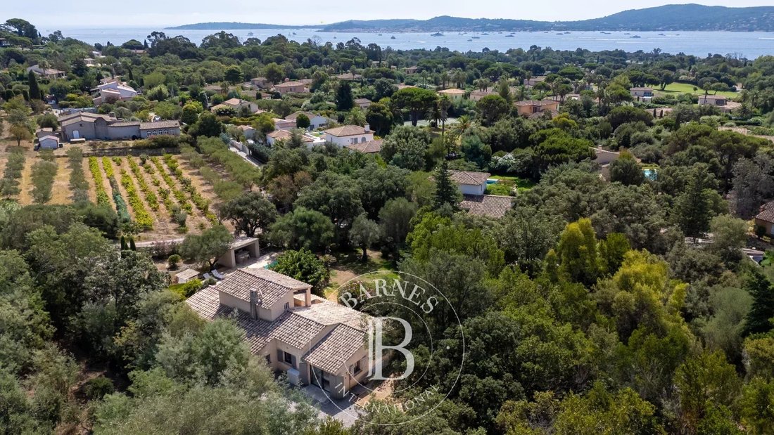 House in Grimaud, Provence-Alpes-Côte d'Azur, France 3 - 17267426