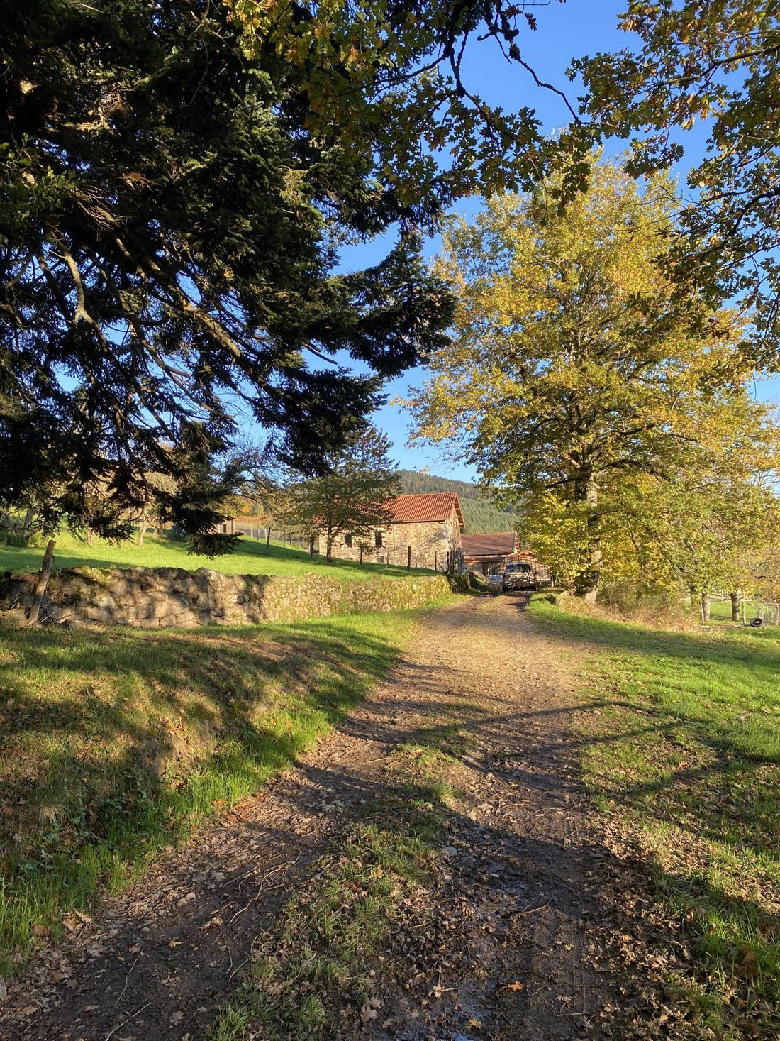 House in Augerolles, Auvergne-Rhône-Alpes, France 2 - 17272045
