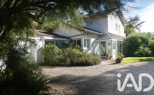 House in Sucy-en-Brie, Ile-de-France, France 1