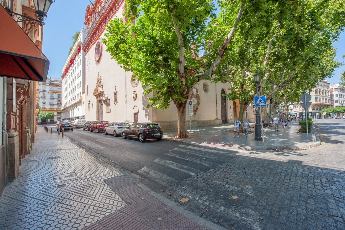 Apartment in Casco Antiguo, Seville, Spain 5 - 17273588