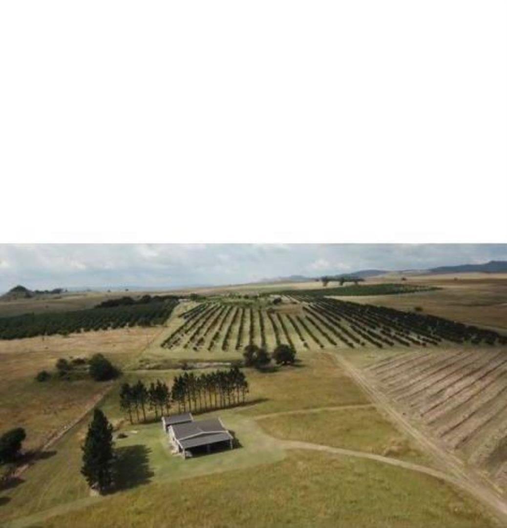 Farm Ranch in eManzana, Mpumalanga, South Africa 3 - 17275052