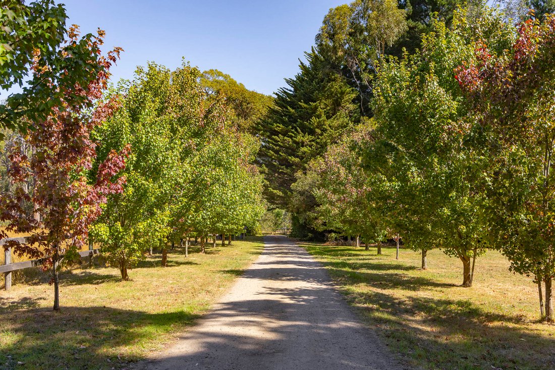 Red Hill South, Victoria, Australia 2 - 17280014