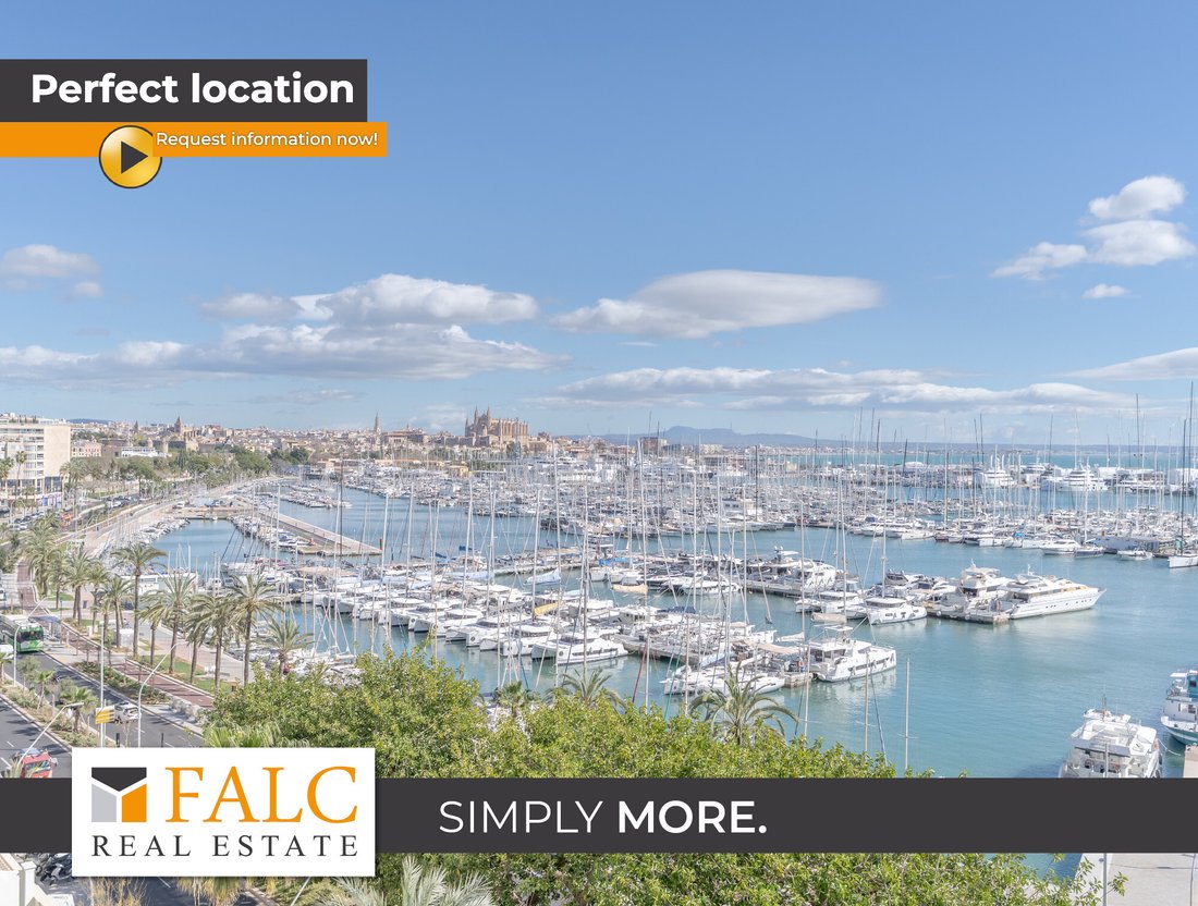 Apartment in Palma, Balearic Islands, Spain 1 - 17274993