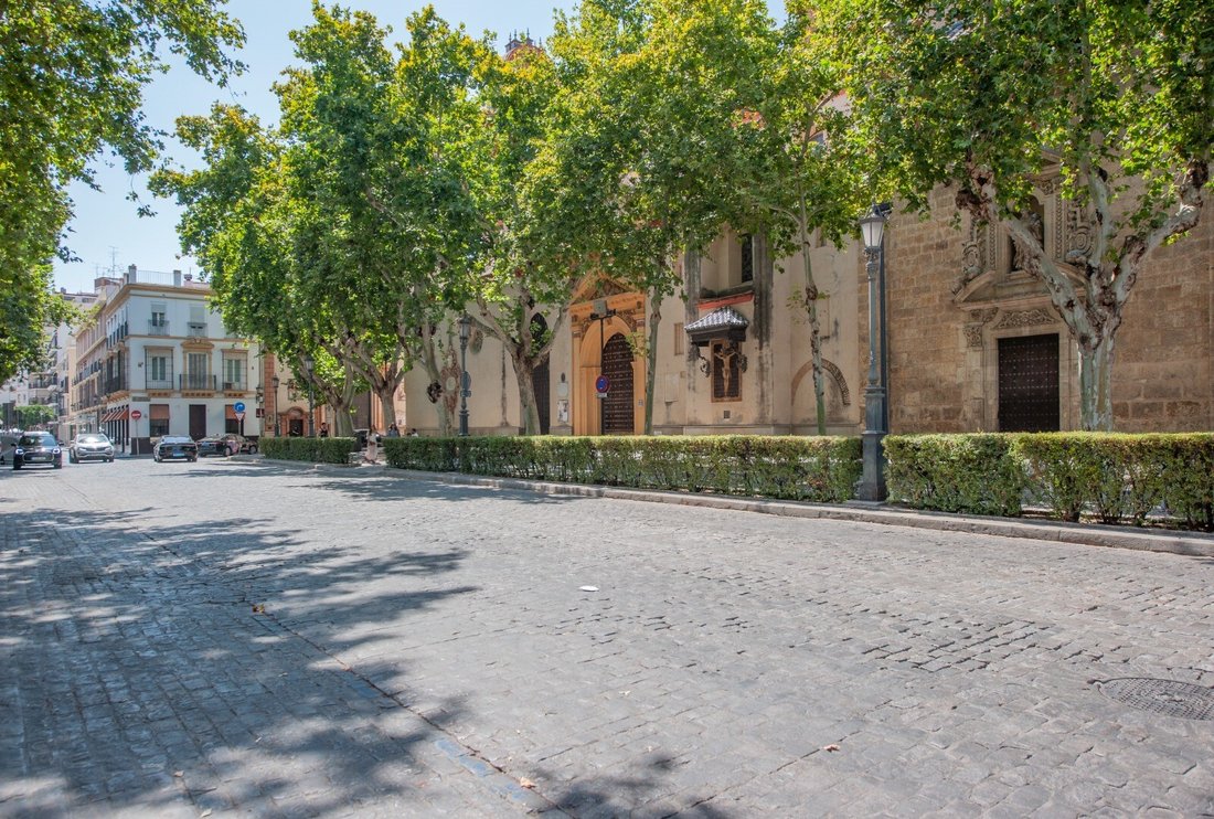 Apartment in Casco Antiguo, Seville, Spain 2 - 17273588
