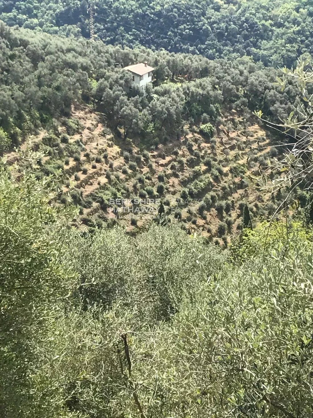 Land in Center, Forte dei Marmi, Tuscany 2 - 17275459