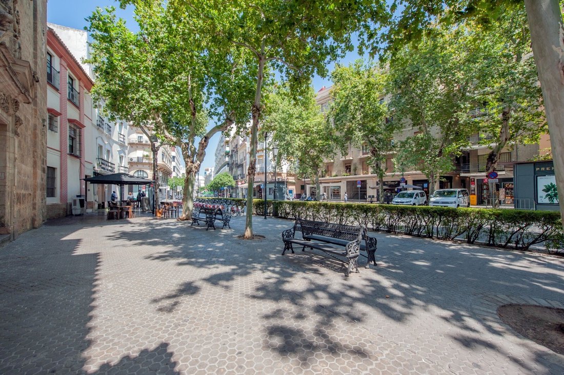 Apartment in Casco Antiguo, Seville, Spain 3 - 17273588