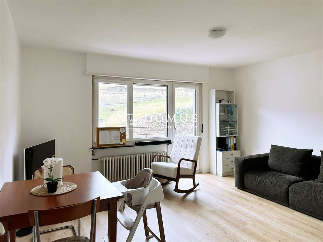 Bright 3.5 Room Flat In Taverne