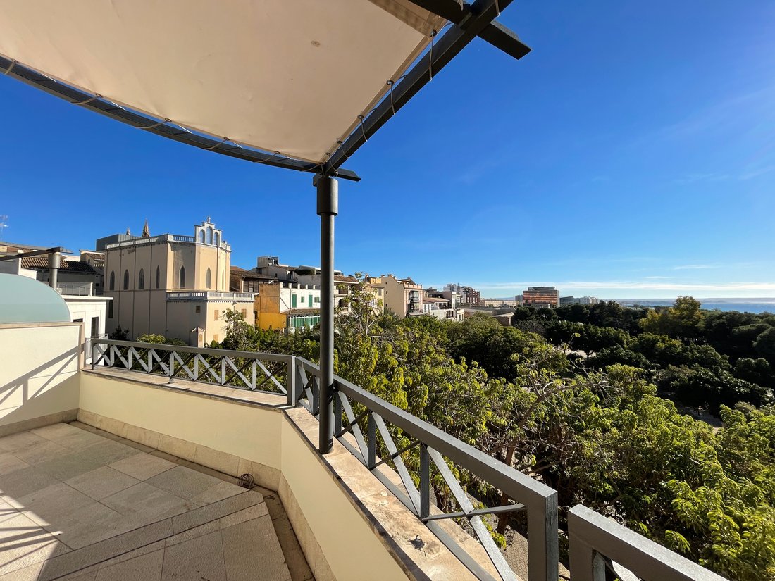 Apartment in Palma, Balearic Islands, Spain 5 - 17268670