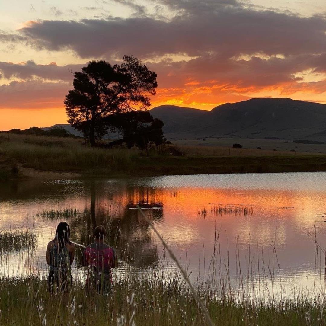 Farm Ranch in eManzana, Mpumalanga, South Africa 4 - 17275052
