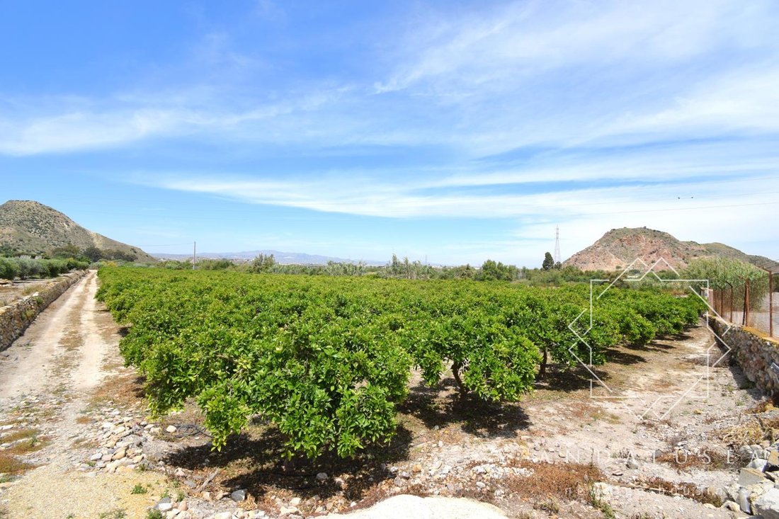 Villa a Mojácar, Andalusia, Spagna 3 - 17268094