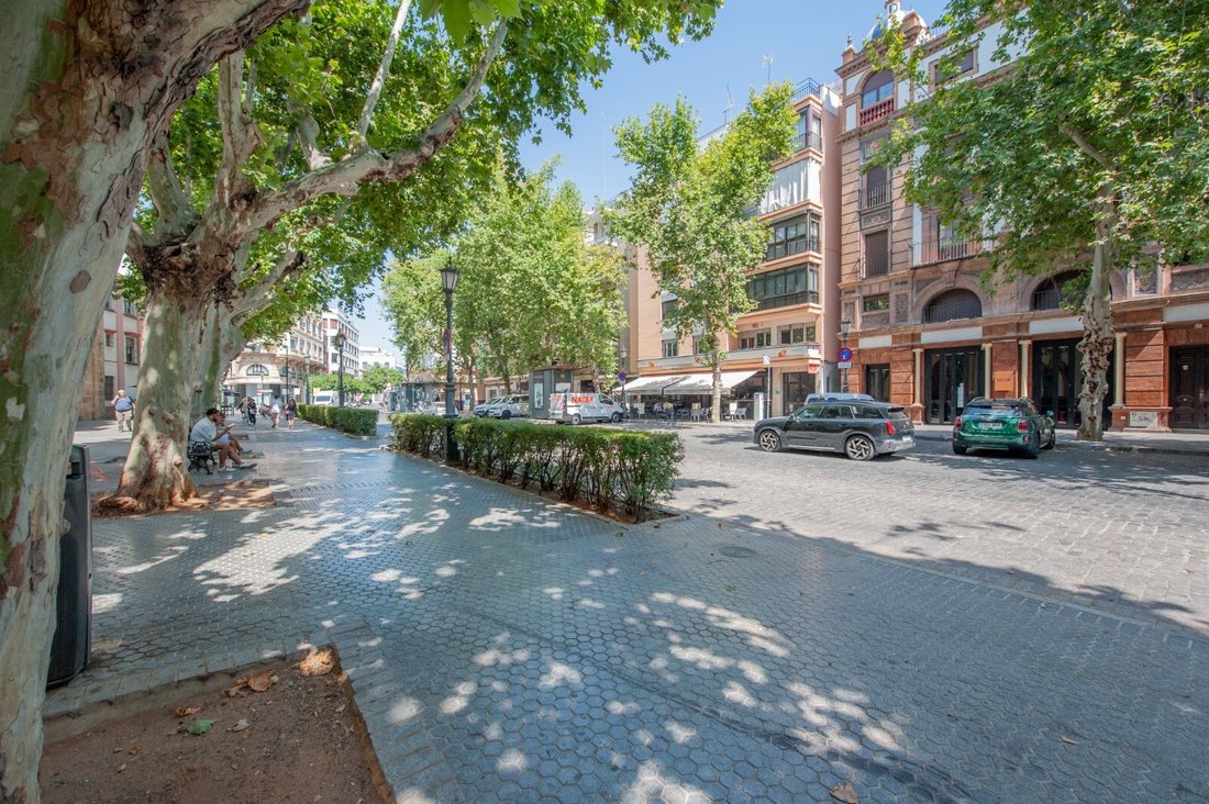 Apartment in Casco Antiguo, Seville, Spain 4 - 17273588