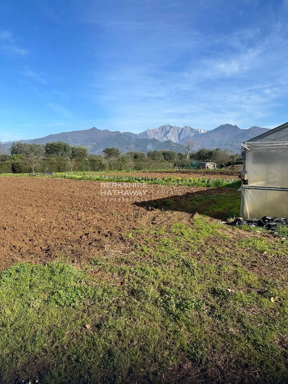 Land in Center, Forte dei Marmi, Tuscany 1 - 17275459