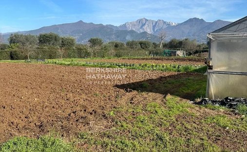 Land in Center, Forte dei Marmi, Tuscany 1