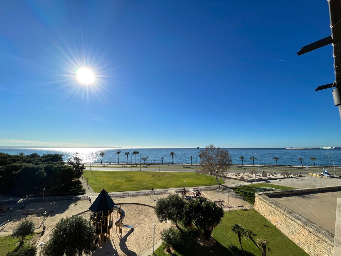 Apartment in Palma, Balearic Islands, Spain 4 - 17268670