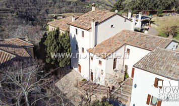 Estate in Calcinelli, Marche, Italy 2
