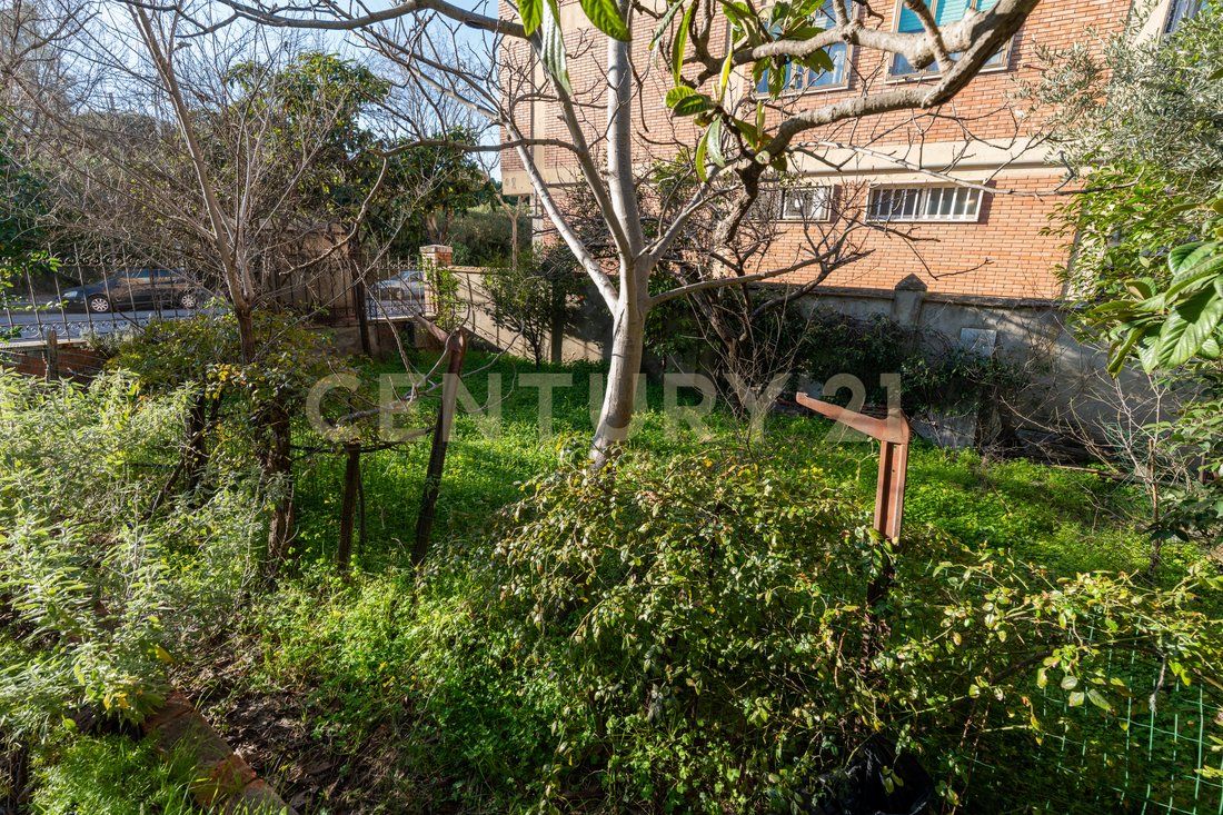 Villa in Center, Grosseto, Tuscany 3 - 17274799