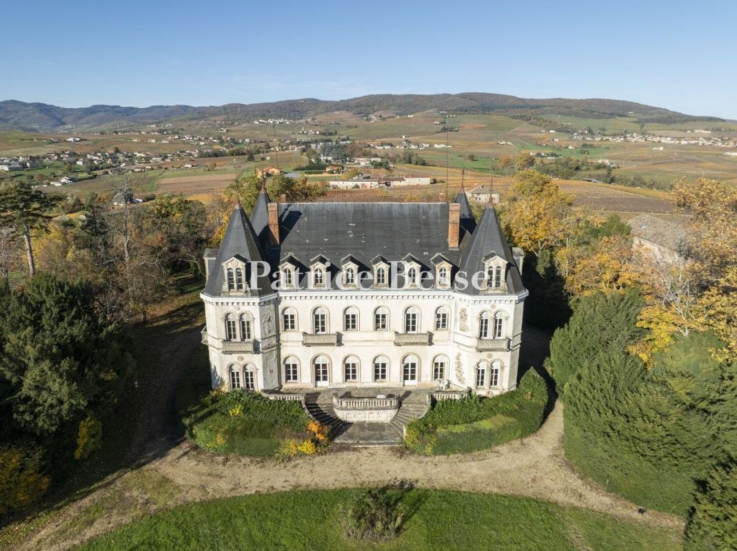 Castle in Villefranche-sur-Saone, Auvergne-Rhône-Alpes, France 1 - 17272399
