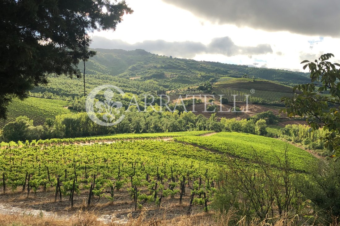 Country House in Center, Orvieto, Umbria 4 - 17268190