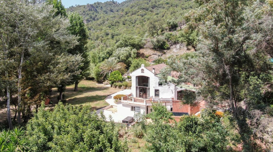 Villa in Centro, Malaga, Spain 3 - 17273016