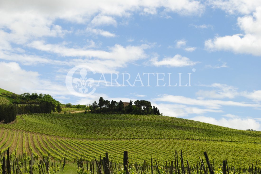 Country House in Center, Orvieto, Umbria 3 - 17268190