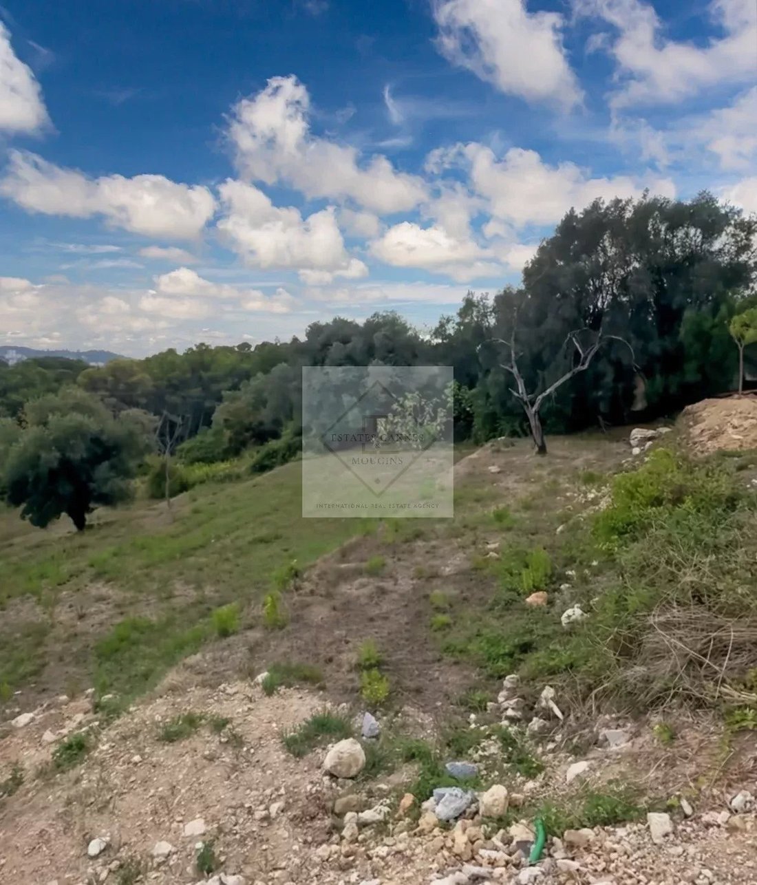 Land in Mougins, Provence-Alpes-Côte d'Azur, France 2 - 14911193