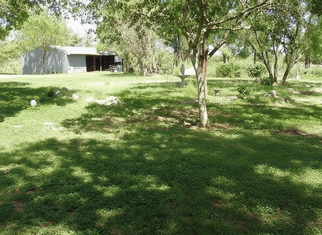 House in Austin, Texas, United States 3 - 17267327