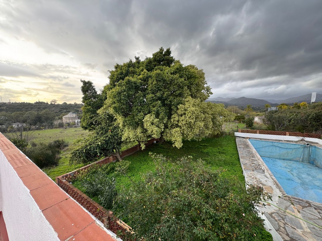 Finca in Estepona, Andalusia, Spain 4 - 17272957
